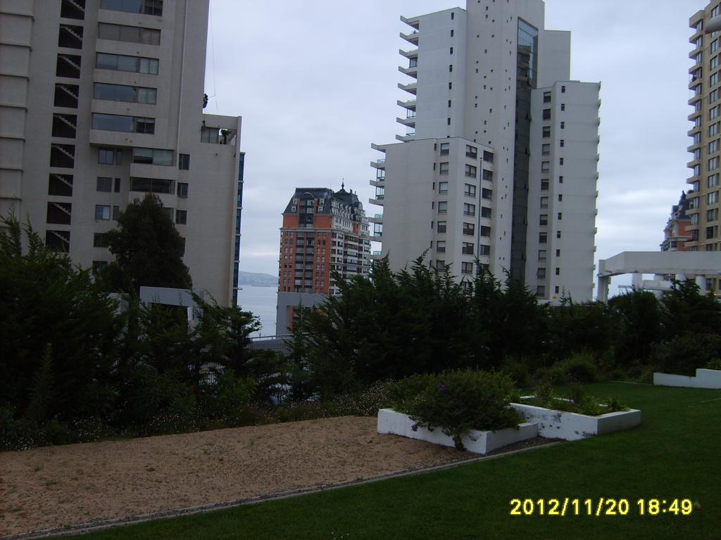 Coraceros * Viña del Mar